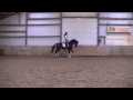 For sale: oscar x kennedy