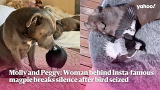 Molly and Peggy: Woman behind Insta-famous magpie breaks silence after bird seiz