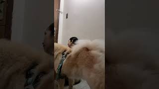 Try To Ignore Yumi At Ayun Kinagat Nya Yung Ano Ko