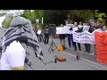 چنین بود ظهور نقی