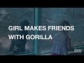 Distraction: Girl apes baby gorilla