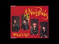 4 non blondes What's Up? 1 hour seamless loop