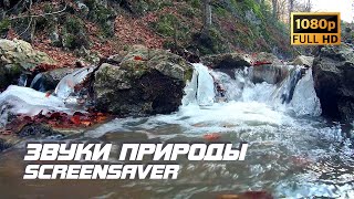 Живая Природа - Река | Звуки Природы | Звуки Реки | Шум Воды | Белый Шум | Пейзаж | Заставка Для Тв