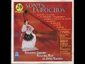 view La Cancion Del Mariachi
