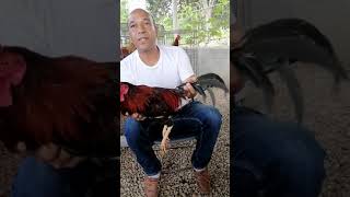 Entrevista A Danny Páez