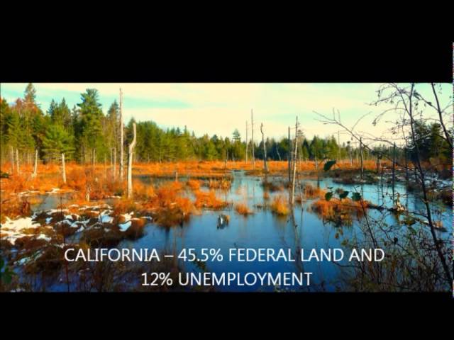 Maine's proposed National Park: Real Facts - Real Fears