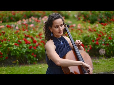 FINE ARTS SOLOISTS