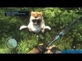 Rare Animals Location Guide Video