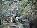 Breakneck Campground Area.....