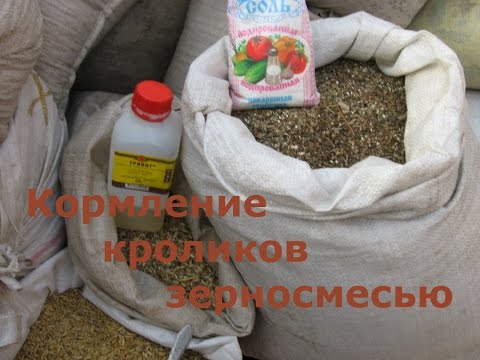 Поилка для цыплят из пластиковой бутылки Поилка для цыплят из пластиковой бутылки