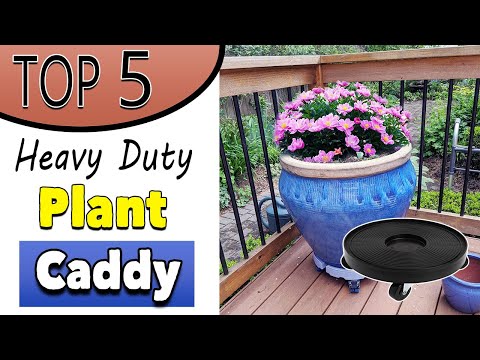 Best Heavy Duty Plant Caddy On Wheels
