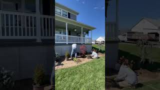 Fall Landscaping installation. 🍂🍃🍂. #landscaping #landscape #landscapedesign #planting #shorts