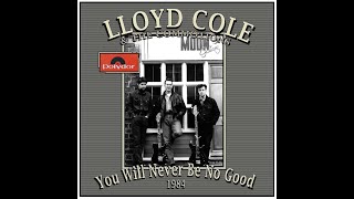 Watch Lloyd Cole You Will Never Be No Good video
