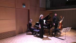 Nemtsov Duo plays Faure, Debussy & Saint-Saens