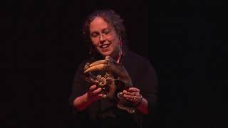 Our Ancient Past is the Key to Our Future | Dr. Larisa R.G. DeSantis | TEDxVanderbiltUniversity