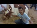 Karachi Cow Mandi 2011 By Ebad Hyder 1 images Karachi Cow Mandi 2011 By Ebad Hyder 1
