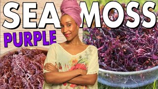PURPLE SEA MOSS | Quick and easy sea moss gel and sea moss water tutorial | Dr. Sebi detox tools