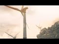 soar