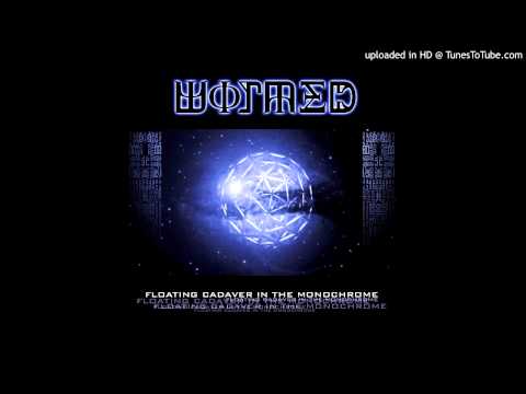Ectoplasmic Iconosphere D.2 Video
