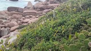 Praia Naturista Da Galheta
