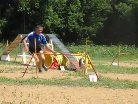 Спортсмены