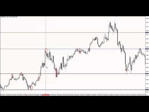 Forex market tips provider