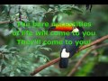 Jungle Book Bare Necessities Song and Lyrics