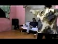 Lucu Si Nenek Goyang Striptis Dangdut images Lucu Si Nenek Goyang Striptis Dangdut