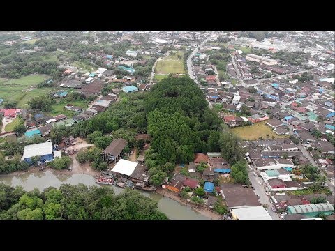 เที่ยวป่าชายเลนกลางเมืองระนอง