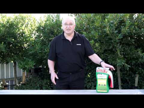 Video - How to Use LawnPro All-in-1 to Get Rid of Weeds and Moss and Green Your Lawn