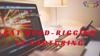 Cat Quad-Rigging - 13 Capturing - Alex Antaram - Share Knowledge - SK Channel