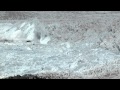 "CHASING ICE" captures largest glacier calving ever filmed - OFFICIAL VIDEO
