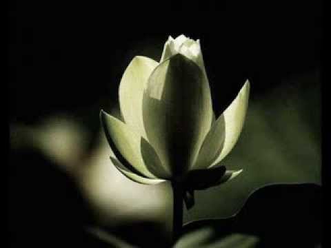 Maneesh de Moor - Moola Meditation