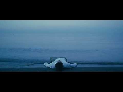 Paladin Video