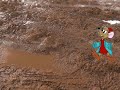 Jaq jump in the mud with brown slippers 3