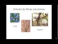 Presentación introducción a los textiles
