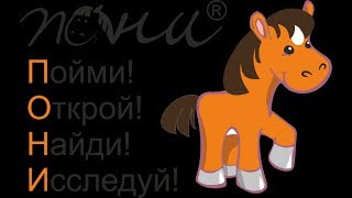 Международные конкурсы пони 4 класс Международные конкурсы пони 4 класс