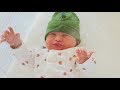 A Star is Born (2018) HD Rip JK This Is My Niece