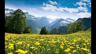 Leyli̇m Leyli̇m Şi̇i̇ri̇ Ahmed Ari̇f