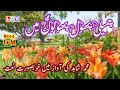 Chameli Phool Phoolon Mein - kids Naat - Naat