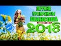 СУПЕР ШАНСОН | ЛЕТНИЕ НОВИНКИ 2018 | НОВЫЕ ПЕСНИ ШАНСОНА 2018 СУПЕР ШАНСОН | ЛЕТНИЕ НОВИНКИ 2018 | НОВЫЕ ПЕСНИ ШАНСОНА 2018