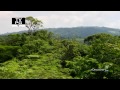Discovery Channel: Speed of Life Part 8/15 [HD]