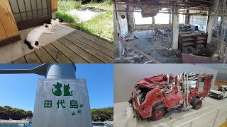 Kedi Adası Ve Deprem Sonrası İyileşme, Ishinomaki, Japonya
