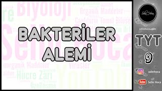 21 Bakteriler Alemi