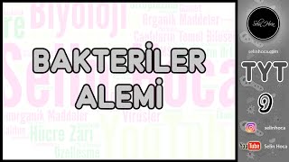 21) Bakteriler Alemi