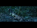 Видео Джунгли (фильм) - Охота на любимого.