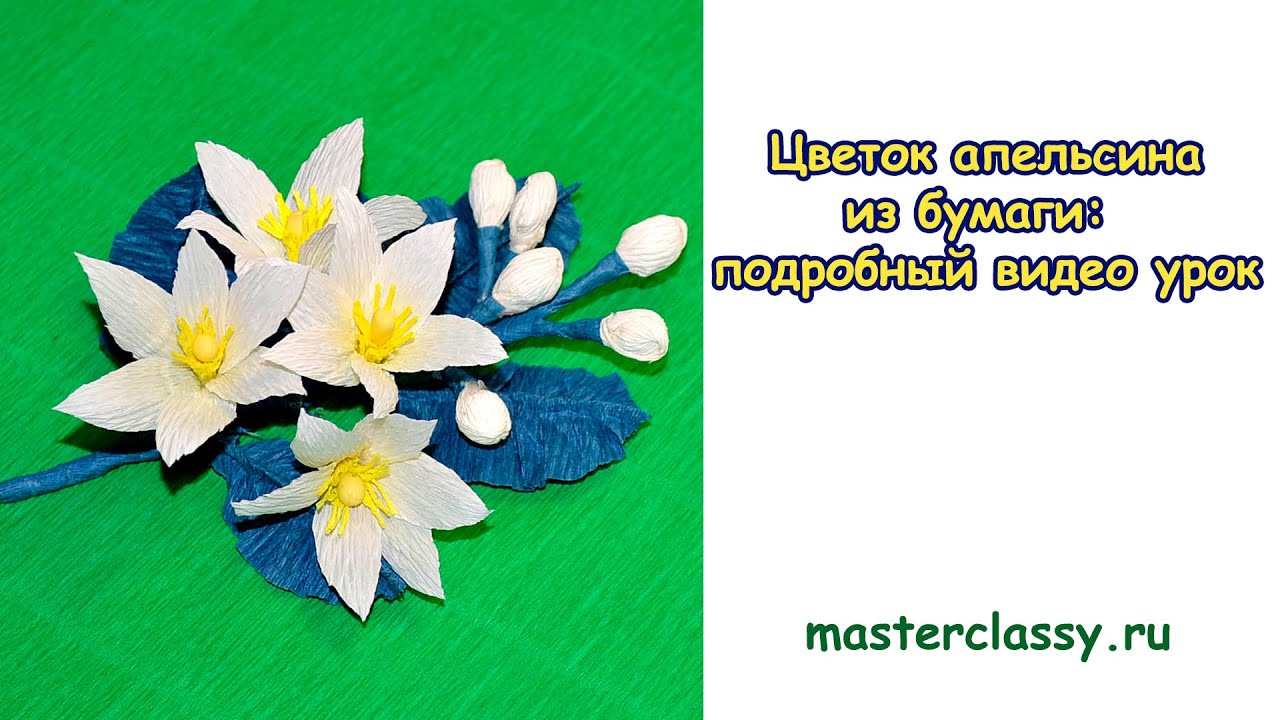 Уроки цветок из бумаги