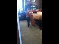 A little kid boxing