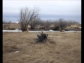 Ranker Video
