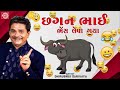 Chagan Bhai Bhains Leva Gaya | Dhirubhai Sarvaiya | New Gujarati Comedy 2024 | Gujarati Jokes